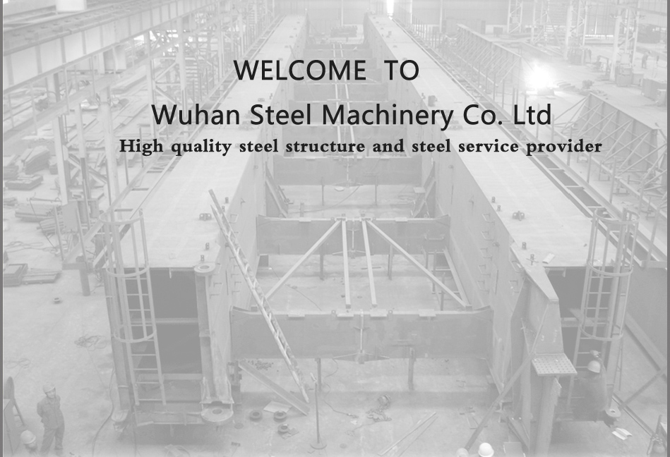 Wuhan Steel Machinery Co. Ltd. 